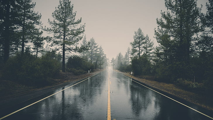 природа, мъгла, пейзаж, отражение, дървета, дъжд, гора, път, HD тапет