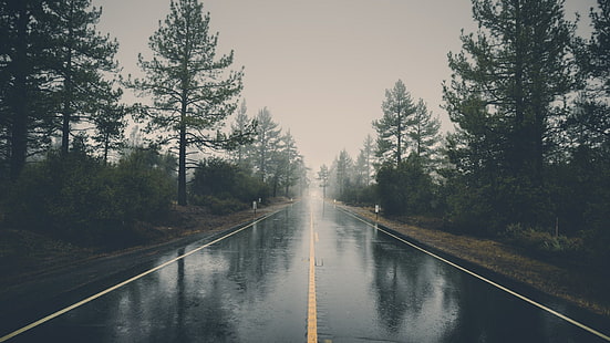nature, mist, landscape, reflection, trees, rain, forest, road, HD wallpaper HD wallpaper