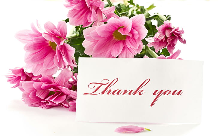 Terima kasih, Luiza, gadis pemimpi, cantik, romantis, cantik, bunga, untuk Anda, luiza, romansa, manis, masih hidup, pret, Wallpaper HD