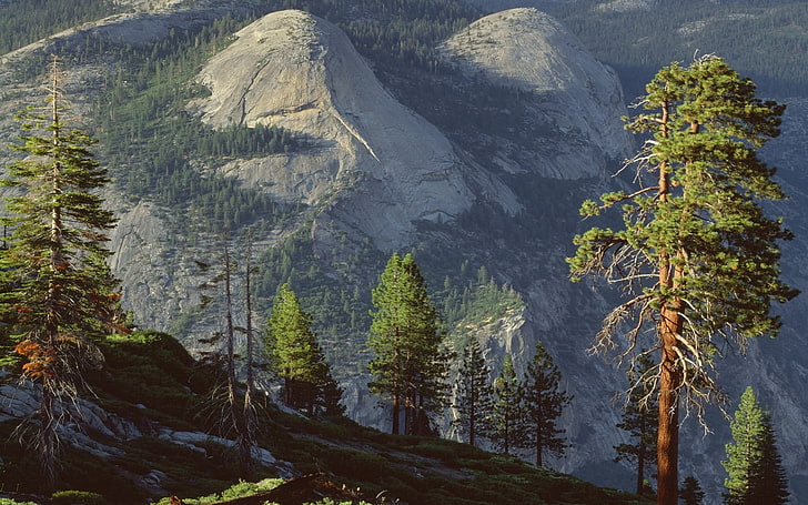 природа, пейзаж, планини, гора, слънчева светлина, борове, национален парк Йосемити, HD тапет
