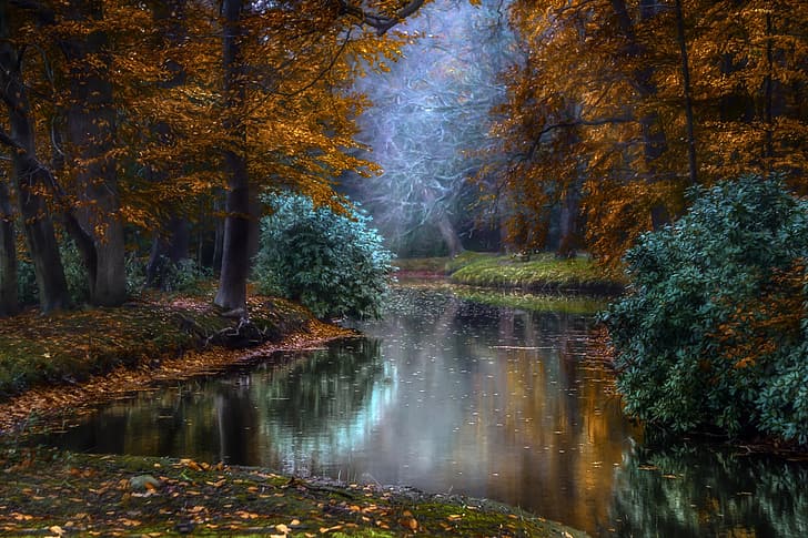 outono, raios, luz, árvores, natureza, Parque, lagoa, Holanda, Jan-Herman Visser, HD papel de parede