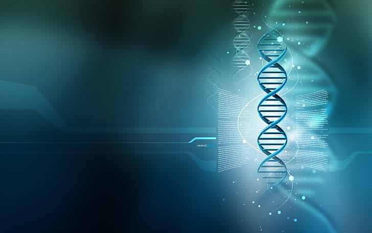 3D DNA HD ، مجردة ، 3D ، الحمض النووي، خلفية HD