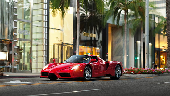 hatchback rojo de 5 puertas, coche, calle, Ferrari, palmeras, Ferrari Enzo, Fondo de pantalla HD HD wallpaper