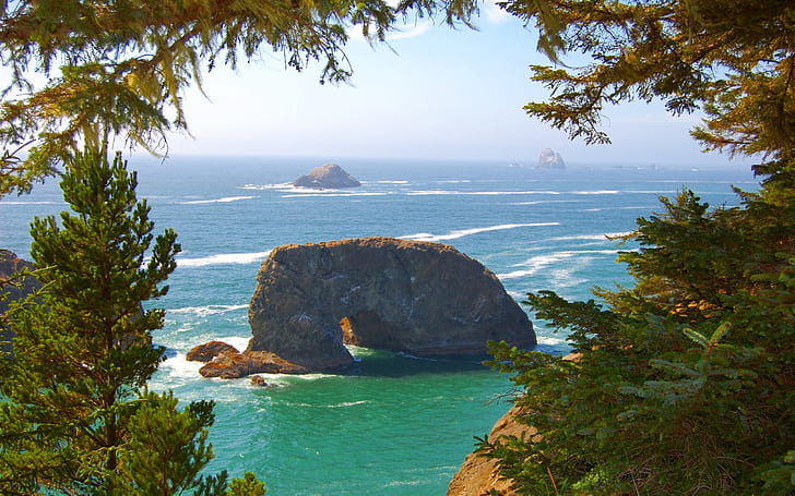 Costa del Pacifico, onde del mare, rocce, alberi, Oregon, USA, Pacifico, Costa, mare, onde, rocce, alberi, Oregon, USA, Sfondo HD