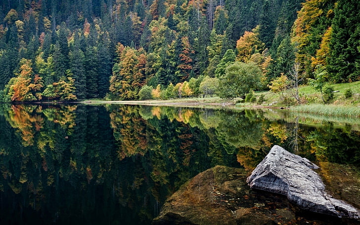 пейзажная фотография озера, окруженного деревьями в дневное время, природа, лес, деревья, озеро, скалы, HD обои