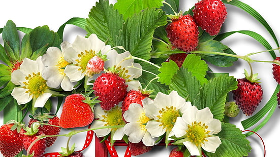 딸기 시즌, 리본, 딸기, 딸기, 건강, 여름, 파이어 폭스 페소 나, 꽃, 과일, 3d 및 초록, HD 배경 화면 HD wallpaper