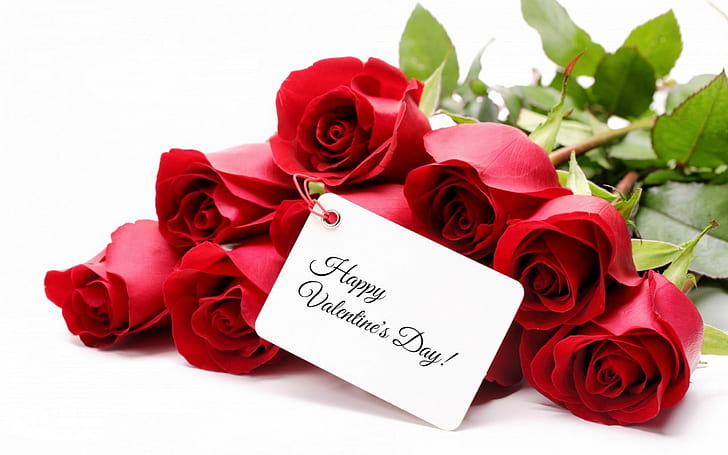 flowers, roses, bouquet, red, Valentine`s day, HD wallpaper