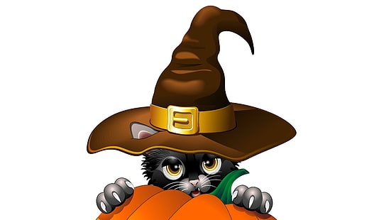 cat, hat, halloween, pumpkin, halloween, pumpkin, HD wallpaper HD wallpaper