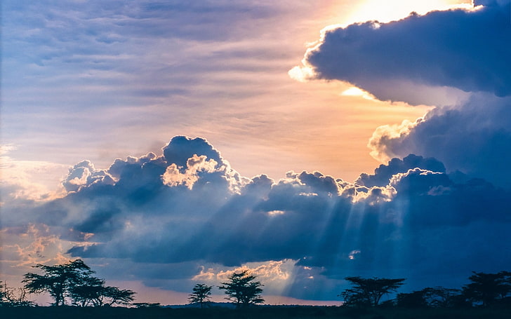 silhouette d'arbres sous un ciel nuageux pendant la journée, nature, paysage, coucher de soleil, nuages, arbres, savane, Afrique, rayons de soleil, ciel, bleu, espace, Fond d'écran HD