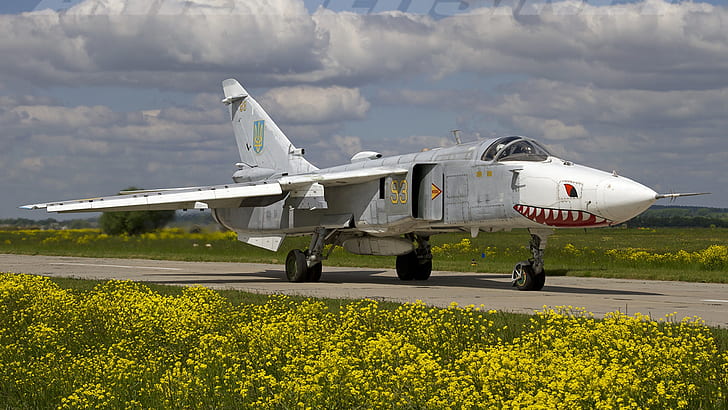 Volo, bombardiere, Su-24, Ucraina Air Force, ATO, Sfondo HD