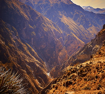 landskapsfotografering av bruna berg, peru, peru, Colca Canyon, Peru, landskapsfotografering, brun, Berg, Arequipa, PE, natur, landskap, scenics, utomhus, dal, bergstopp, bergskedja, resa, HD tapet HD wallpaper
