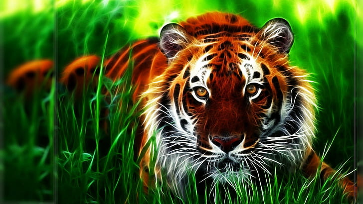 Tiger Fractal Face Eyes Pattern Stripes Grass Art High Resolution Pictures, cats, eyes, face, fractal, grass, high, pattern, pictures, resolution, stripes, tiger, HD wallpaper