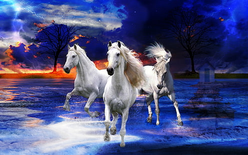 ثلاثة خيول بيضاء برية صور فانتازيا، خلفية HD HD wallpaper