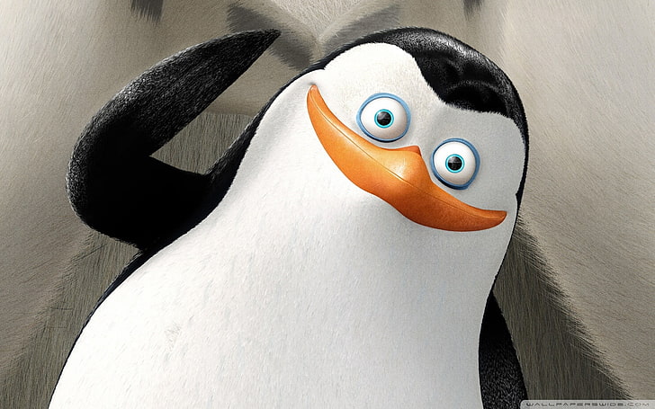 Пингвины Мадагаскара, мультфильм, кино, HD обои