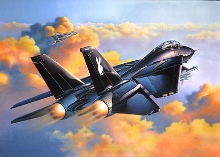 Cazas a reacción, Grumman F-14 Tomcat, Fondo de pantalla HD HD wallpaper