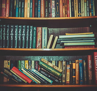 本、本棚、知識、図書館、 HDデスクトップの壁紙 HD wallpaper