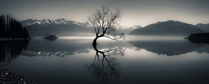 silhouette d'arbre nu sur le plan d'eau près de la montagne pendant la journée, nature, paysage, brouillard, lac, montagnes, arbres, pic enneigé, eau, réflexion, panoramas, Fond d'écran HD