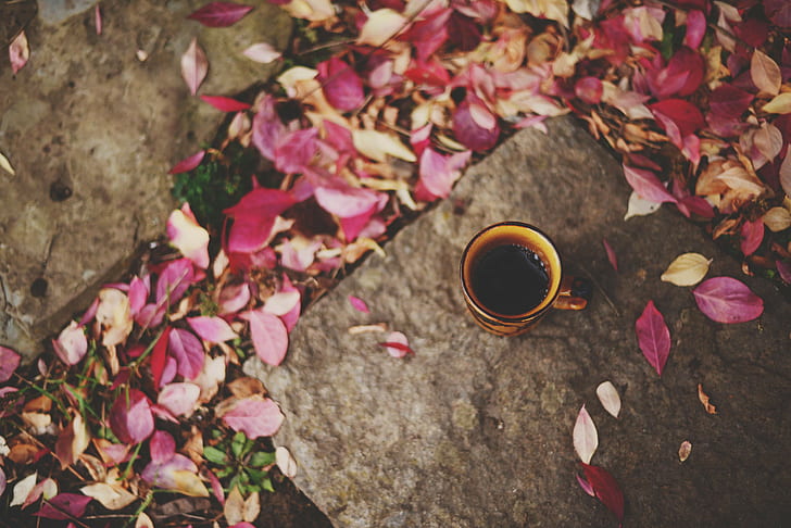 taza, otoño, hojas, hojas caídas, café, Fondo de pantalla HD
