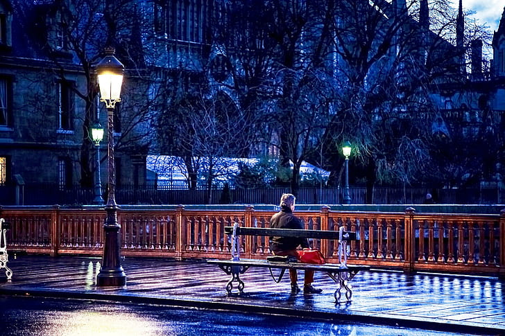 „Alone In D Park”, sam, park, Tapety HD