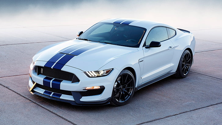 white and blue Shelby Mustang coupe, car, Ford Mustang Shelby, Shelby GT 350, HD wallpaper