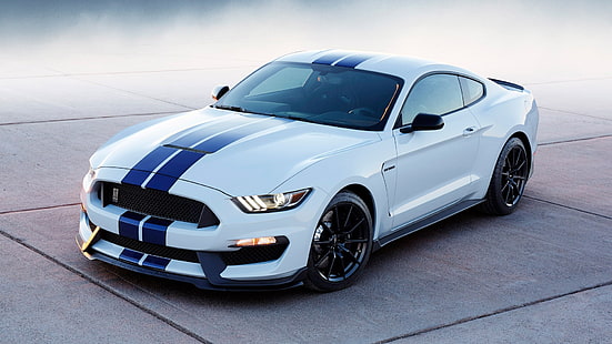 бяло и синьо Shelby Mustang купе, кола, Ford Mustang Shelby, Shelby GT 350, HD тапет HD wallpaper