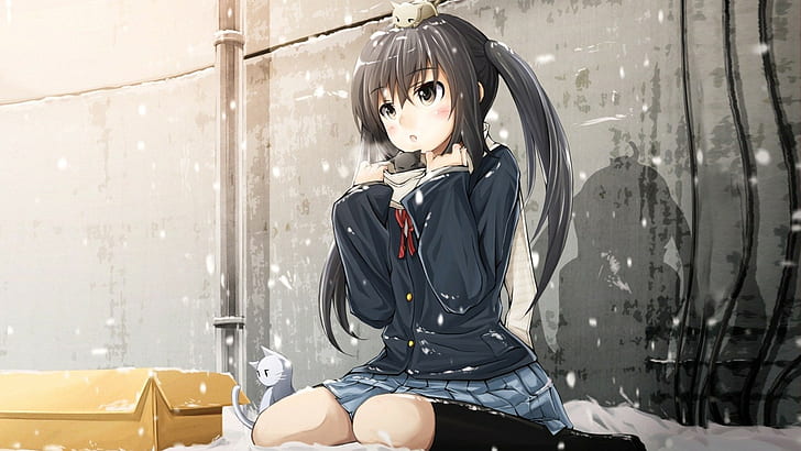 Anime K-on!Azusa Nakano Kitten Cat Snow HD, Anime-Figur, Cartoon / Comic, Anime, Katze, Schnee, Kätzchen, auf, k, nakano, azusa, HD-Hintergrundbild