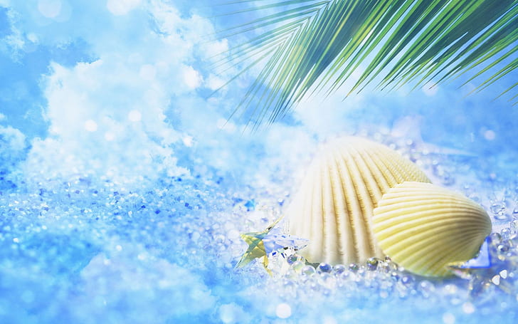 Il mio sogno estivo, 2 conchiglie marroni e foglie di palma, conchiglie, sabbia, Sfondo HD