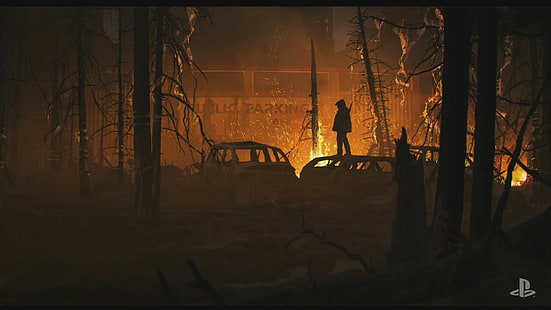 الغابة ، النار ، الكلب المشاغب ، آخر منا الجزء الثاني، خلفية HD HD wallpaper