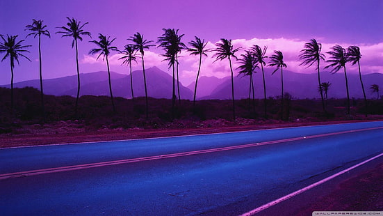 Beautiful Purple Lscape, деревья, пурпур, дорога, горы, природа и пейзажи, HD обои HD wallpaper