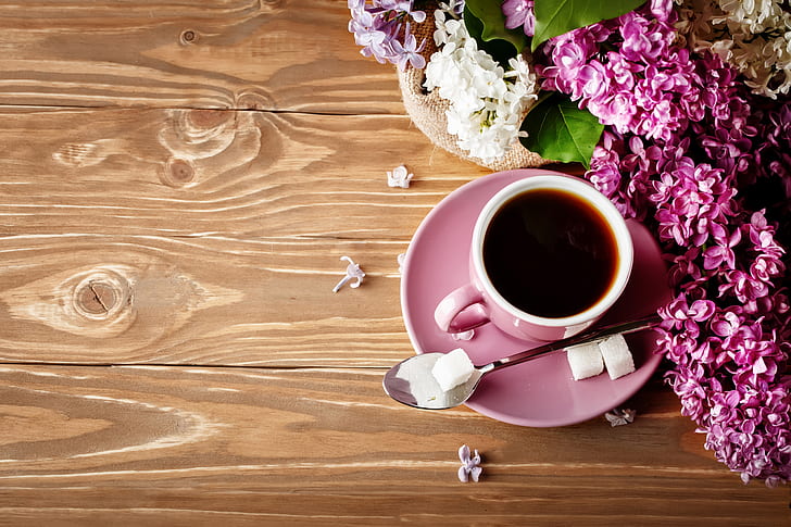 Food, Coffee, Cup, Flower, Still Life, HD wallpaper