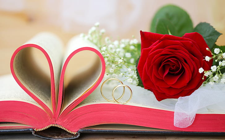 Fleurs rouges, roses, Saint Valentin, livre, coeurs d'amour, anneaux, Rouge, Fleurs, Roses, Saint Valentin, jour, livre, amour, coeurs, anneaux, Fond d'écran HD