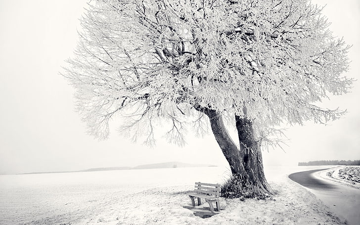 white and black abstract painting, landscape, nature, winter, bench, snow, ice, cold, trees, HD wallpaper