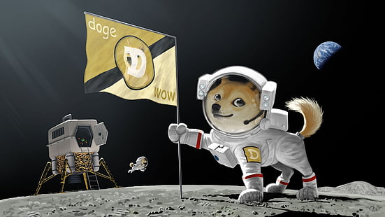 Doge Wow дигитален тапет, дож, космос, Луна, произведения на изкуството, HD тапет HD wallpaper