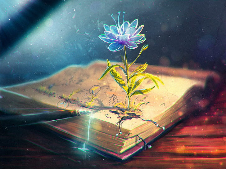 цветок, аннотация, книга, ручка, цветок, аннотация, книга, HD обои