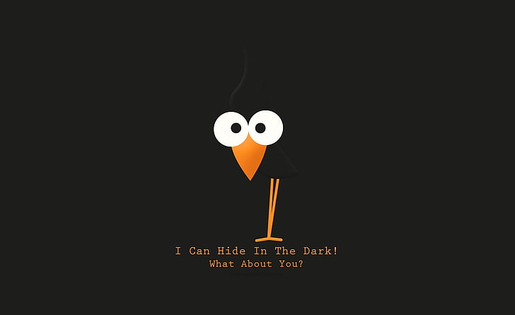 I Can Hide..., i can hide in the dark! what about you? digital wallpaper, Funny, Bird, cartoon, HD wallpaper