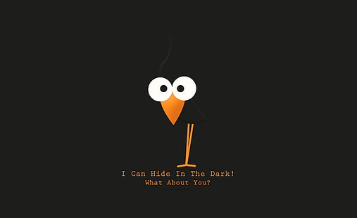 I Can Hide..., i can hide in the dark! what about you? digital wallpaper, Funny, Bird, cartoon, HD wallpaper HD wallpaper
