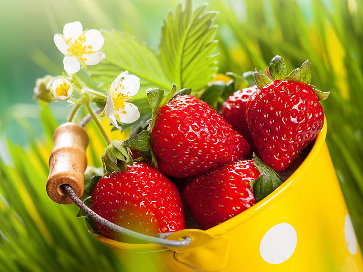 strawberries, bucket, flowers, depth of field, HD wallpaper