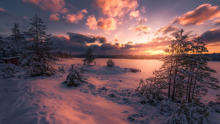 атмосфера, Рингерике, Норвегия, дерево, фиолетовое небо, фиолетовый пейзаж, Европа, облако, фиолетовый закат, небо, закат, сумерки, снег, вечер, зима, отражение, природа, HD обои