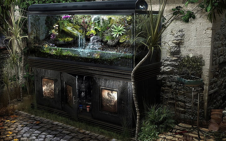 prostokątny akwarium z przezroczystego szkła z szafką, akwarium, Tapety HD