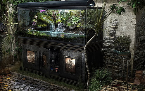 rectangular clear glass fish tank with cabinet, aquarium, HD wallpaper HD wallpaper