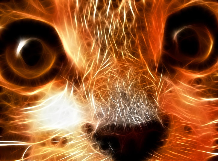 Котка, снимка отблизо на оранжева котка, художествена, абстрактна, абстрактна, животно, котка, HD тапет
