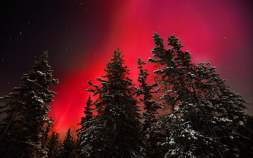 Ateşli Gökyüzü Kırmızı Aurora Yukon Kanada Bölgesi'nde Özel Gece Nadir Oluşumu bilgisayarlar Için 4 K Ultra Hd Masaüstü Duvar Kağıtları Dizüstü Tablet Ve Cep Telefonları, HD masaüstü duvar kağıdı HD wallpaper