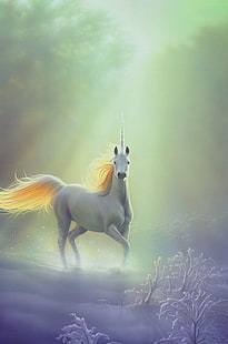 Fantasie, Pferd, Pegasus, Einhorn, HD-Hintergrundbild HD wallpaper
