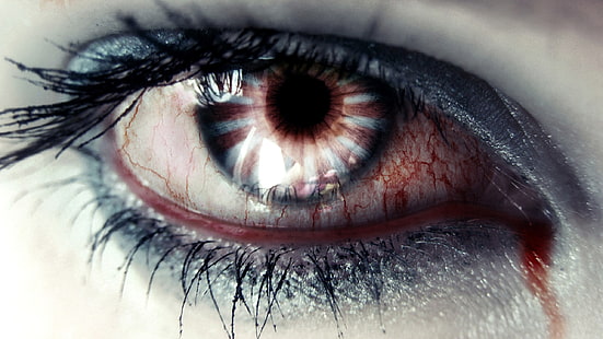 fotografia sanguinaria del primo piano dell'occhio umano, occhi, Sfondo HD HD wallpaper