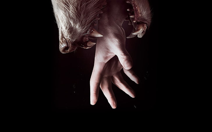 horror, teeth, animals, hands, HD wallpaper