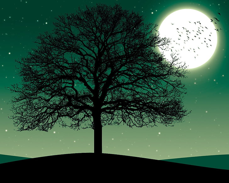 صورة ظلية شجرة تحت سماء اكتمال القمر والأشجار والطبيعة، خلفية HD
