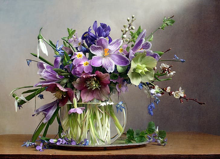 flowers, branches, table, crocuses, vase, primroses, tray, hellebore, HD wallpaper