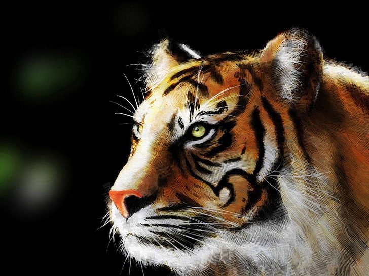pintura de tigre, gatos, tigre, HD papel de parede