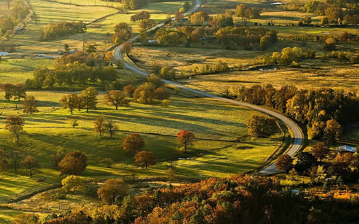 nature, landscape, field, trees, road, village, grass, sunlight, green, summer, morning, fall, HD wallpaper
