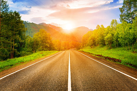 asphalt road between trees, road, the sun, dawn, sun, sunrise, HD wallpaper HD wallpaper